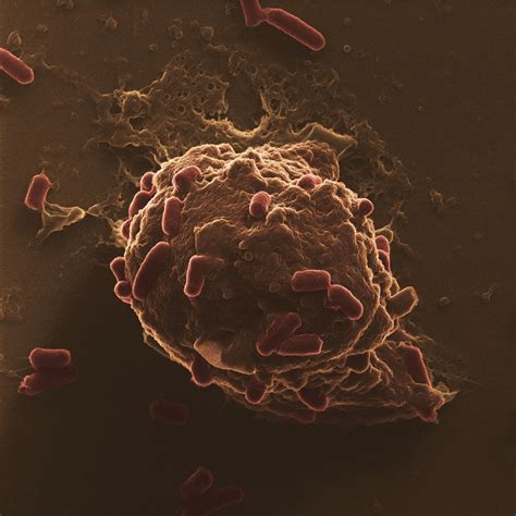 Image result for Making Writing Fun