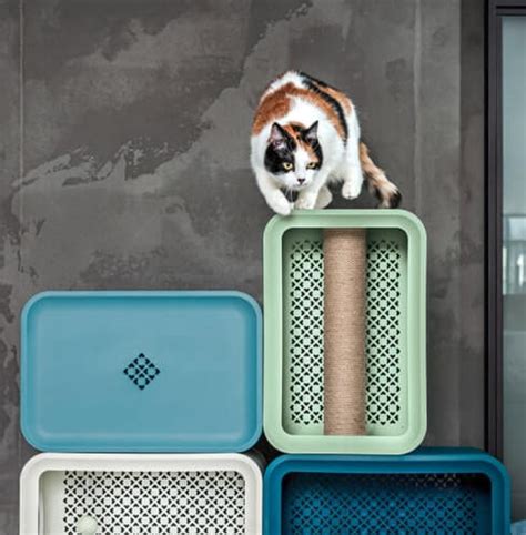 Nuovo Catalogo Premi Esselunga Raccolta Punti Ottobre  