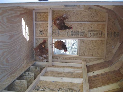 Chicken Coop Interior Images at Rebecca Santana blog