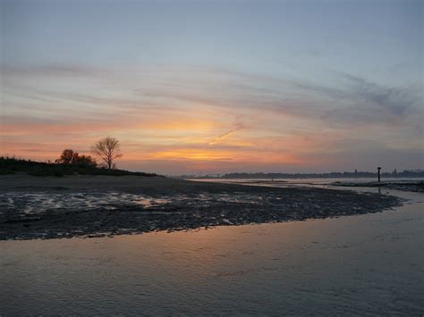 Image result for Spectrum Net Ebb