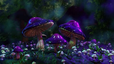 Trippy Mushroom Wallpaper Magic Magic Mushrooms VI