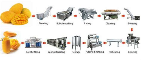 Mango Pulp Process 的图像结果