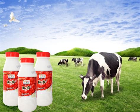 伊利酸奶450g*12瓶红枣原味风味酸乳 酸牛奶_牛奶_休闲食品_生活优加-天然、高品质食品网上超市