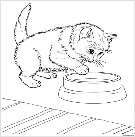 Kitten Coloring Pages - ColoringBay