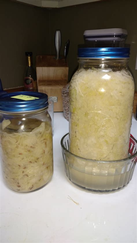 Does Canned Sauerkraut Go Bad at Shawn Rooks blog