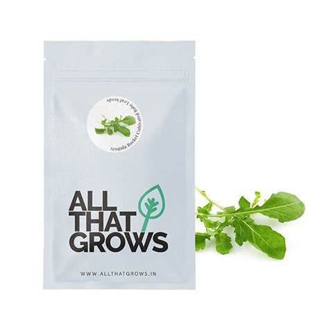 Arugula Baby Leaf Seeds | Non-GMO, Non-Hybrid Seeds Online