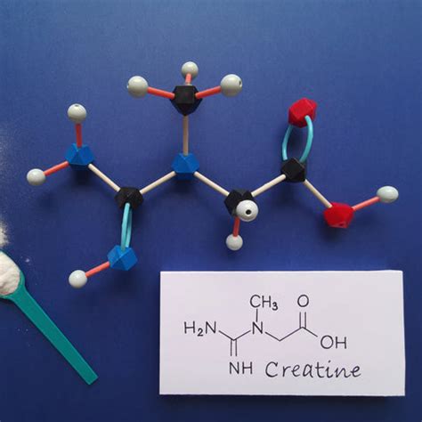 When Is the Best Time to Consume Creatine? — Wellversed