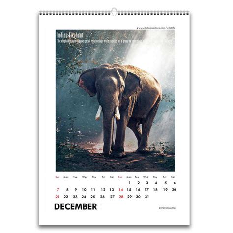 Wall Calendar 2026 - Wildlife, Incredible Animals of India by Tallenge ...