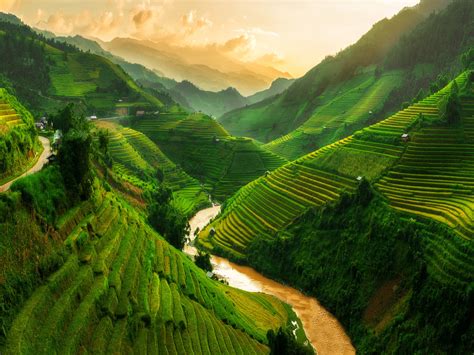 Image result for Vietnam Shell Exploding