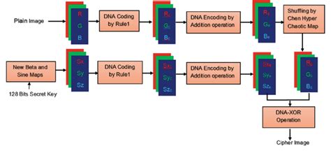 Scheme 的图像结果