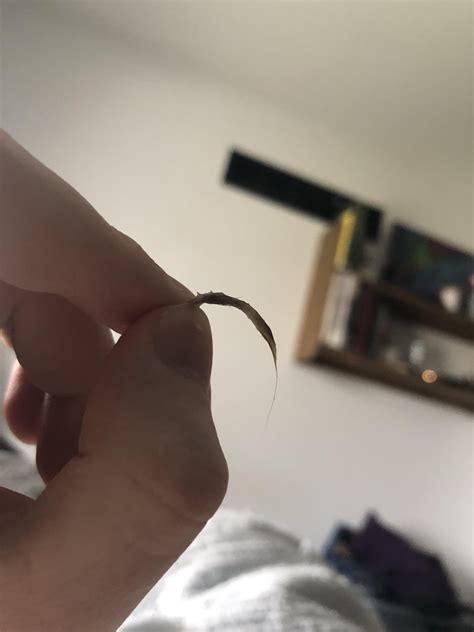 Popping My Eye Out 的图像结果