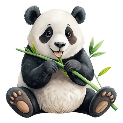 Cute Panda Eating Bamboo Clip Art Illustration, Panda Clipart, Art ...