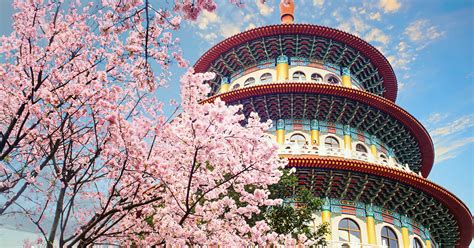 Here Are The Best Places to See Cherry Blossoms in Taiwan | KAYAK IN