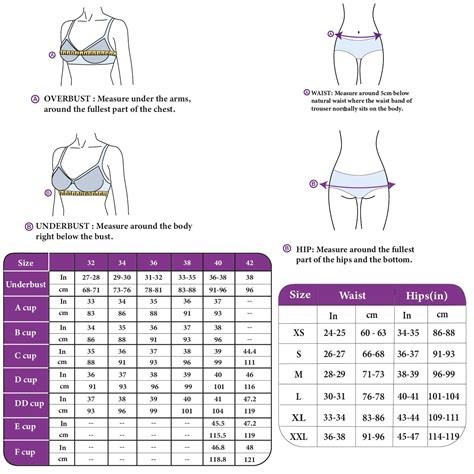 Lace Lingerie Set- Purple – Candyskin