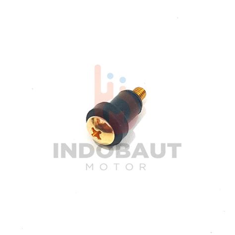 Jual Baut Mur Tameng Visor Nmax Lexi Aerox Vixion 5x25 M5 Gold - Baut ...