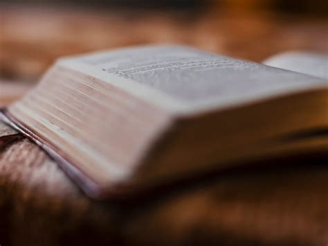 ¿Cómo encontrar la llave de acceso a sesenta y nueve poemas? | Meer