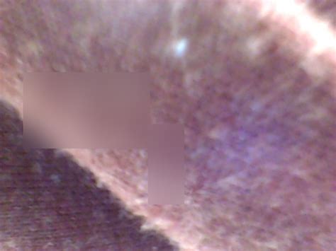 Skin 11 Unbound 1997 的图像结果