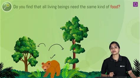 Image result for Class 6 Science Chapter 1 Infinity Learn