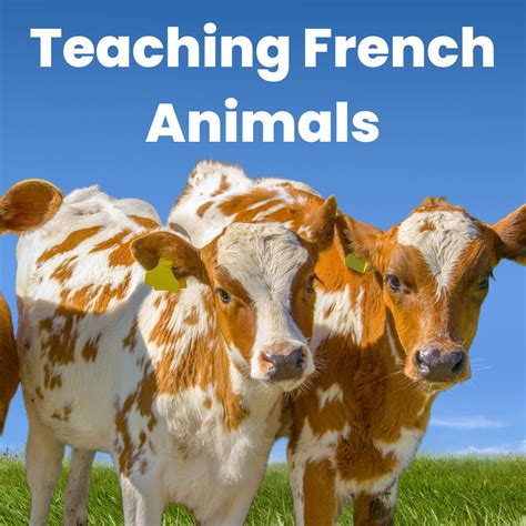8 Easy Steps for Teaching French Animals in the French as a Second ...