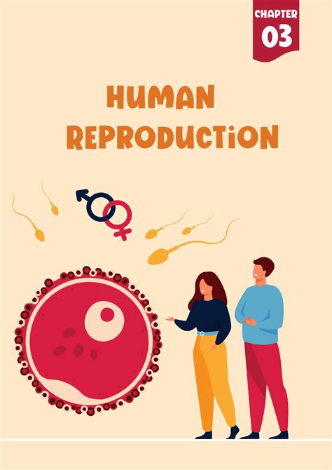 Image result for Class 12 Bio Human Reproduction