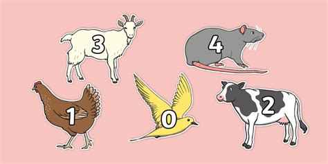 Numbers 0-20 on Animals