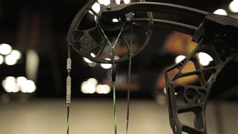 Image result for Custom Compound Bow