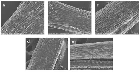 Effects of Organic Solvents on the Organosolv Pretreatment of Degraded ...