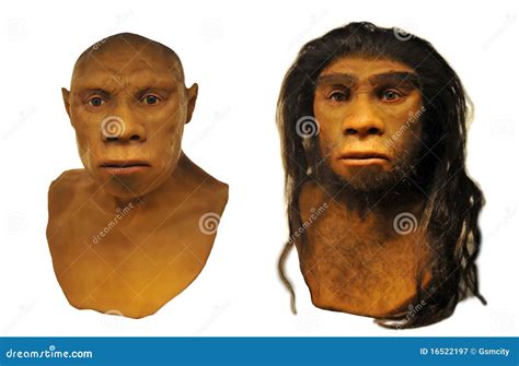 Neanderthal Vs Cro Magnon