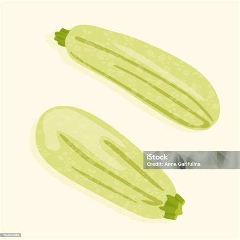 Whole Zucchini Of Various Sizes Stock Illustration - Download Image Now - Agriculture, Art, Clip ...