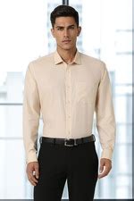 Buy Men Beige Slim Fit Textured Full Sleeves Formal Shirt Online ...