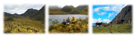 Sustainable Feedbacks of Colombian Paramos Involving Livestock ...