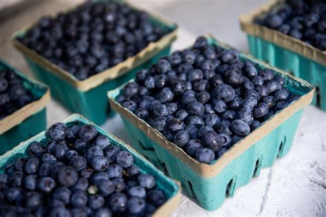 Blueberry recall in NC: FDA upgrades listeria concerns to highest-level ...