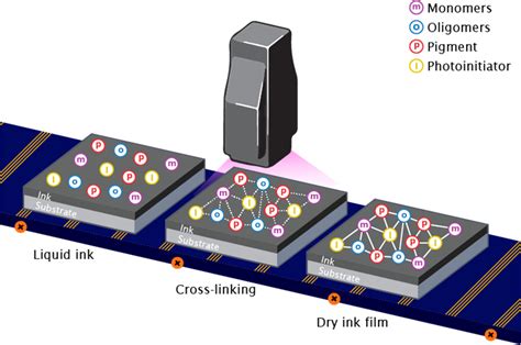 UV Curing Process 的图像结果