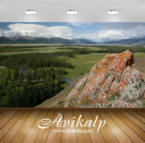 Avikalp Exclusive Awi6144 Rusty Rocks Guarding The Pine Forest Nature ...