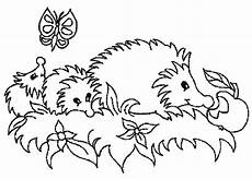 igel ausmalbilder zum drucken kostenlos ausmalbilder igel kostenlos malvorlagen zum ausdrucken igel ausmalbilder zum drucken kostenlos ausmalbilder igel kostenlos malvorlagen zum ausdrucken