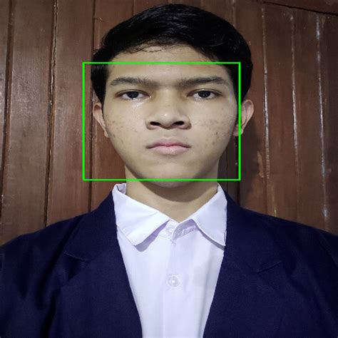 Face Detection Using Machine Learning 的图像结果