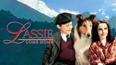 Lassie Come Home Lassie Come Home