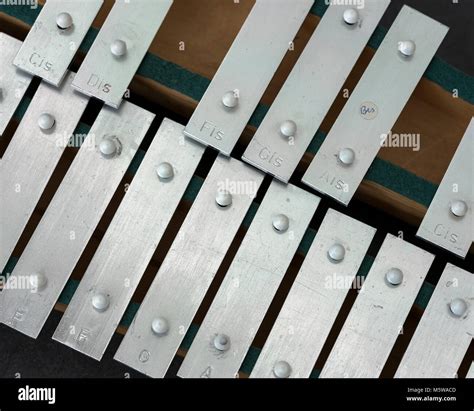 Glockenspiel instrument hi-res stock photography and images - Alamy