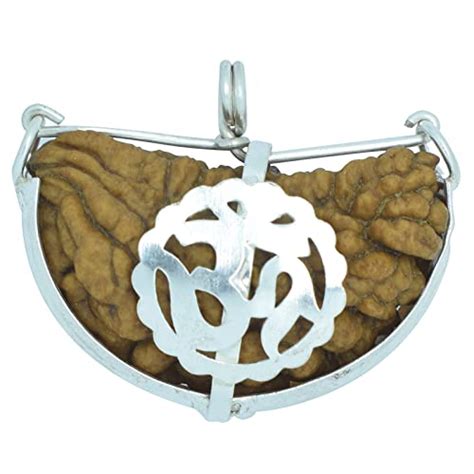 Trideva Blessings One Mukhi Rudraksha Pendant (Silver Metal Om Cap ...