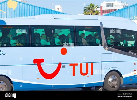 Image result for Tui Local Bus