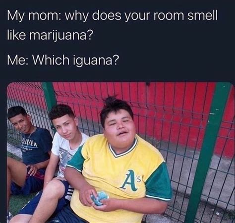 Local Boys Memes 的图像结果