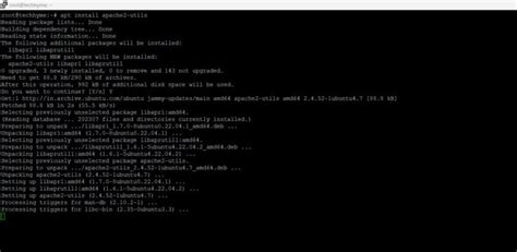 How To Configure Basic Authentication in NGINX - Tech Hyme