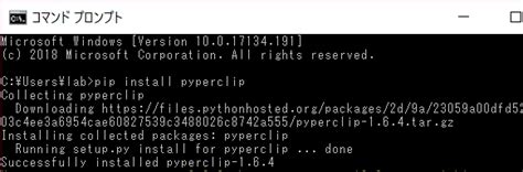 How to Install Pyperclip 的图像结果