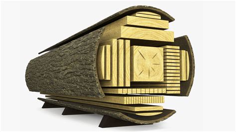 Log Cross Section 3D | 3D Molier International