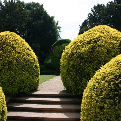 ELVASTON CASTLE AND COUNTRY PARK (2024) All You Need to Know BEFORE You ...