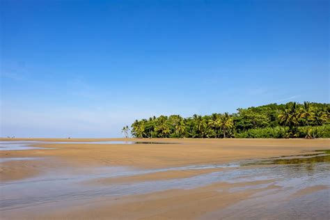 Exploring Uvita: 5 Awesome Things To Do In Uvita, Costa Rica