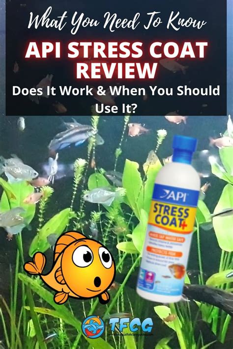 Image result for How to Use API Stress Coat