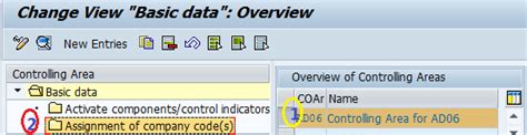 Image result for Control Code in SAP