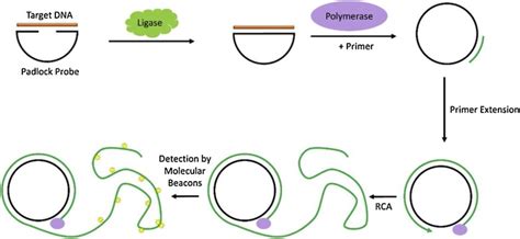Lamp Technology 的图像结果