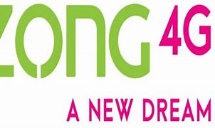 Image result for zong